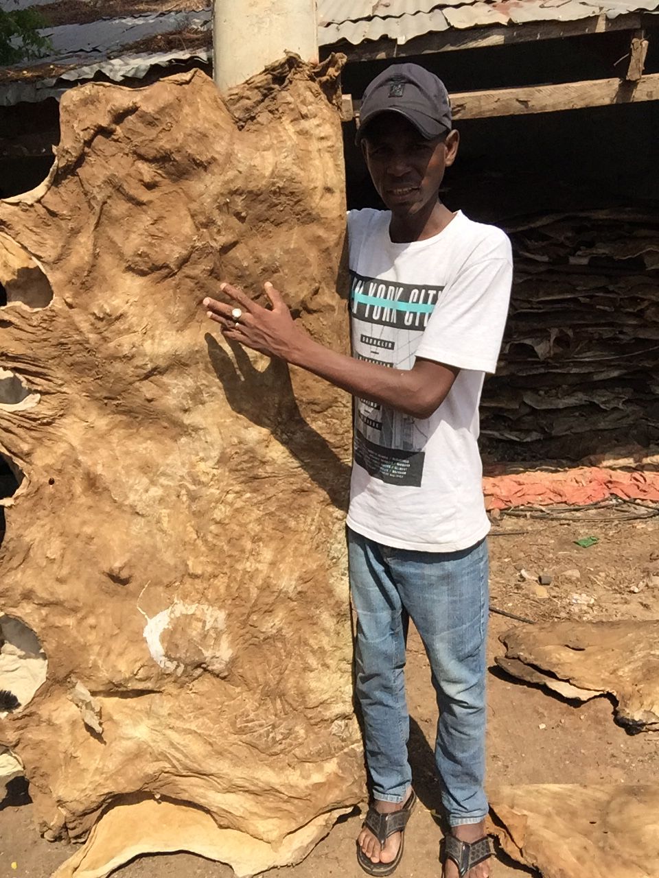 WhatsApp Image 2023-04-10 at 3.54.32 PM