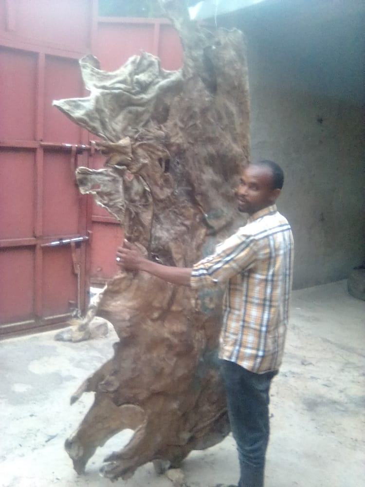 WhatsApp Image 2023-04-10 at 3.54.34 PM